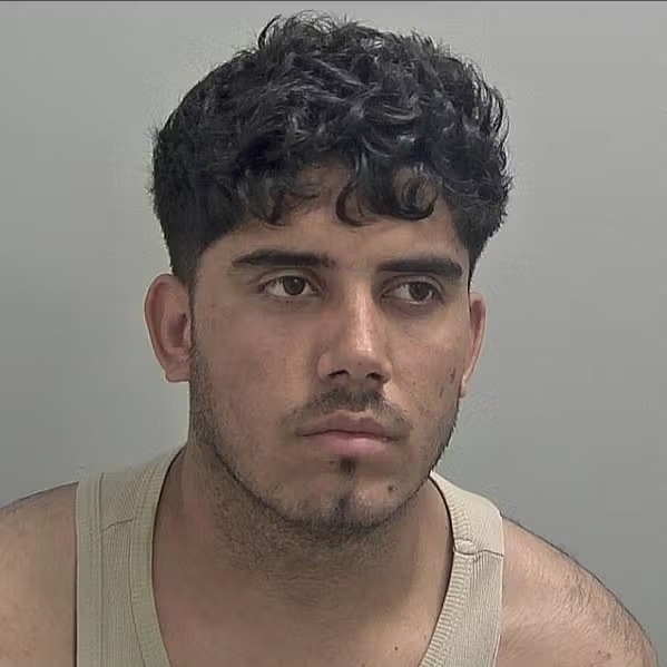 مهاجر افغانستانی به جرم تجاوز بر دختر ۱۲ ساله به زندان محکوم شد