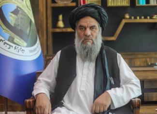 وزیر فرهنگ طالبان از شاعران خواست درباره انتحاری‌های این گروه شعر بسرایند