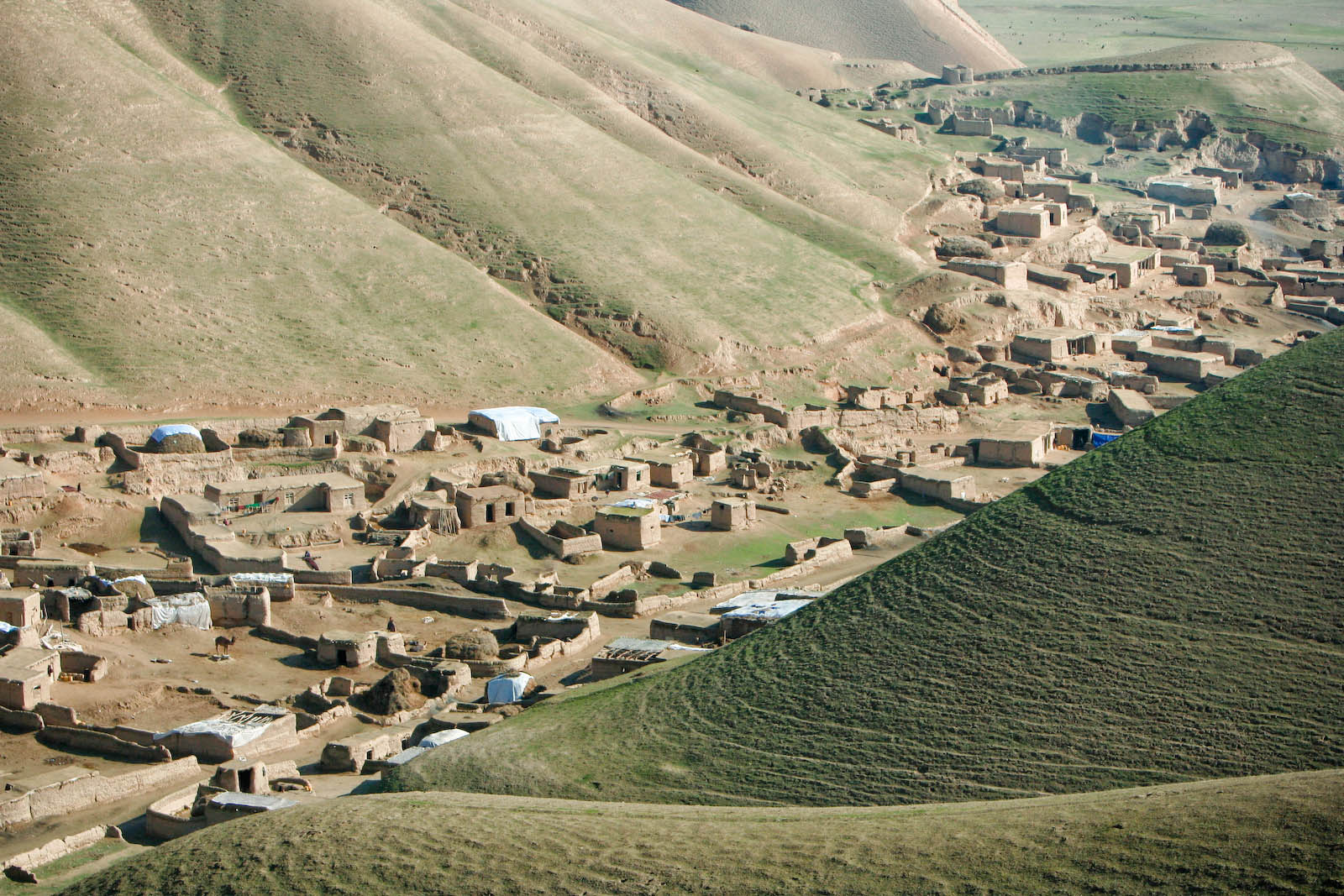 نزاع پدر و پسر؛ دختر جوان خانواده قربانی شد