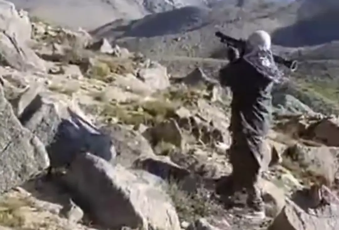 زیباک