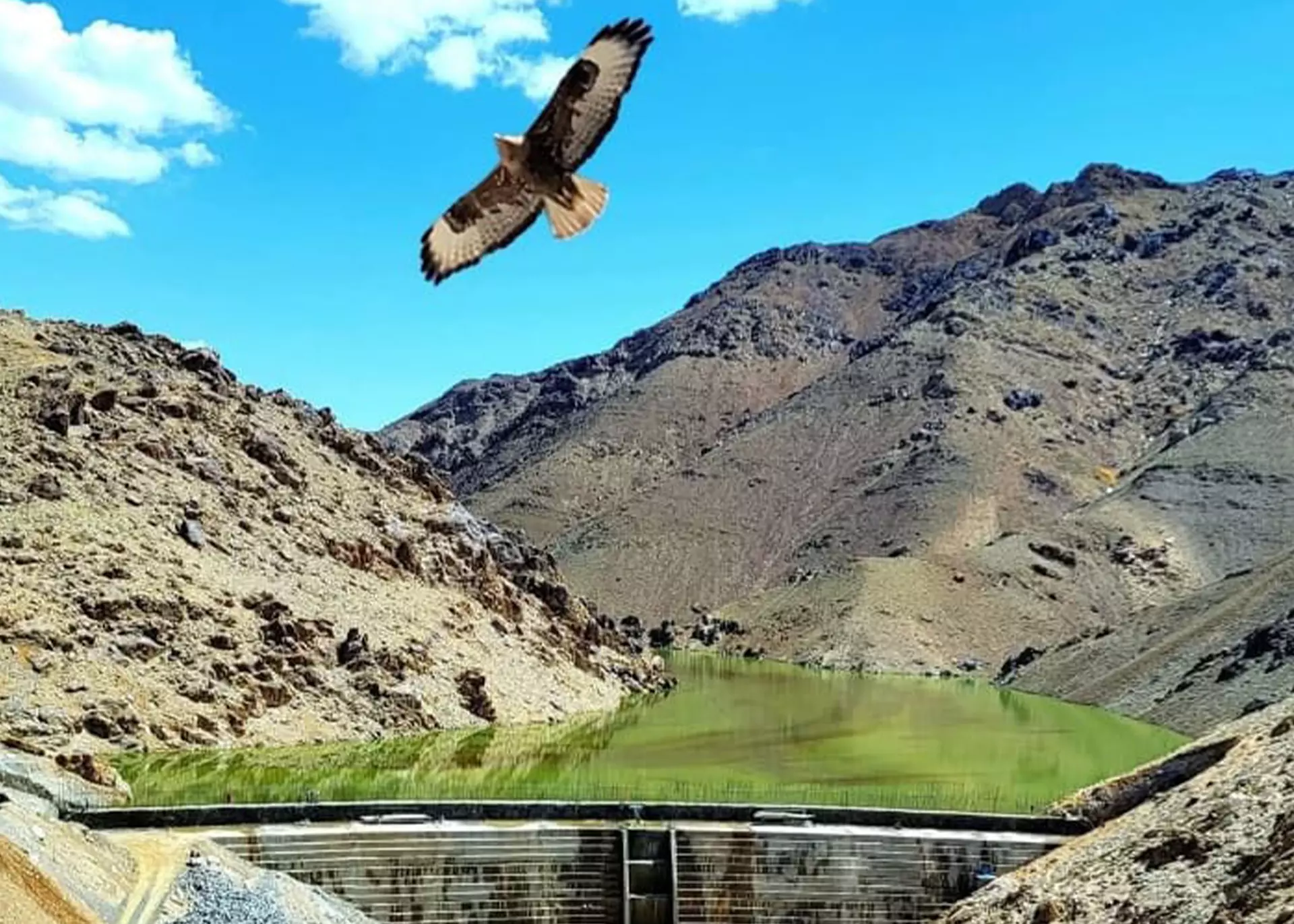 بند سنگجوی لومان؛ امید و همبستگی مردم جاغوری در برابر کم‌آبی