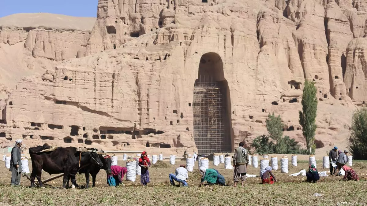 ازبیکستان برای تامین کچالوی بازار خود در بامیان سرمایه‌گذاری می‌کند