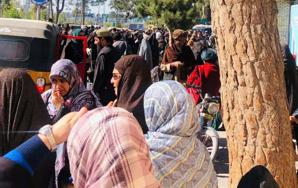 طالبان در هرات: زنی که بدون برقع بیرون شود و مو یا رویش دیده شود به زندان می‌بریم
