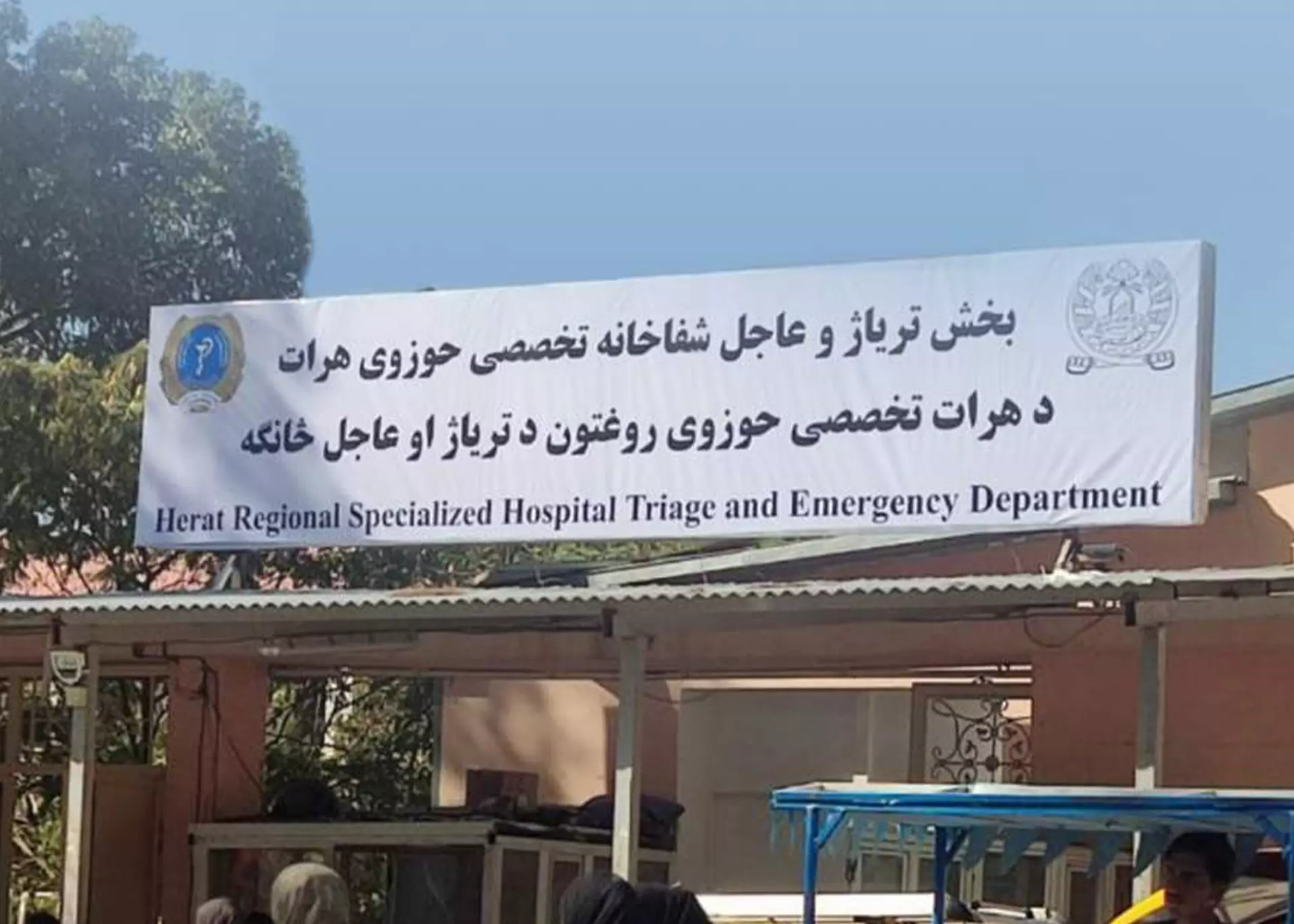 داکتران بدون مرز بازداشت کارمند زن خود در هرات را محکوم کرد