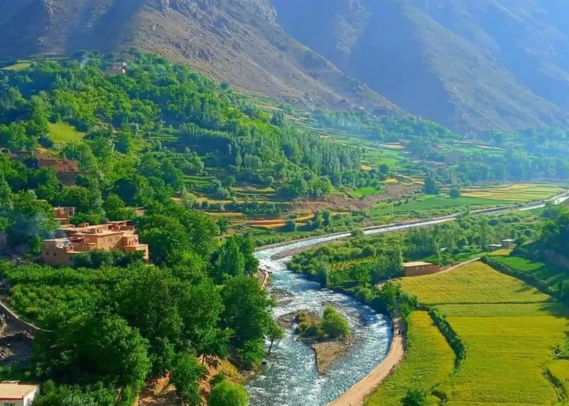 طالبان مردم پریان را از یلاق کوچاندند