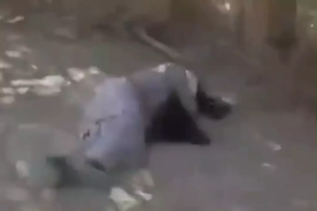 جبهه متحد از کشتن یک کارمند استخبارات طالبان در قندهار خبر داد