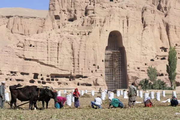 ازبیکستان برای تامین کچالوی بازار خود در بامیان سرمایه‌گذاری می‌کند