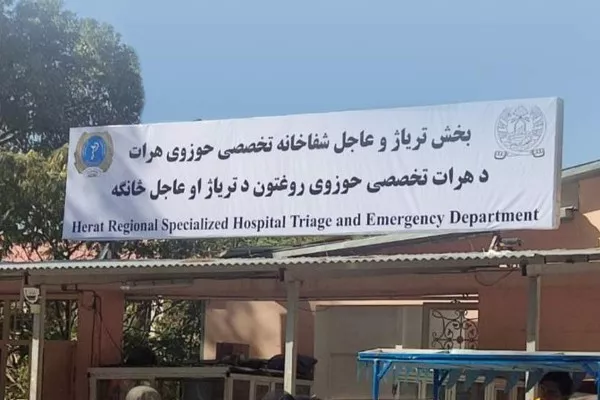 داکتران بدون مرز بازداشت کارمند زن خود در هرات را محکوم کرد