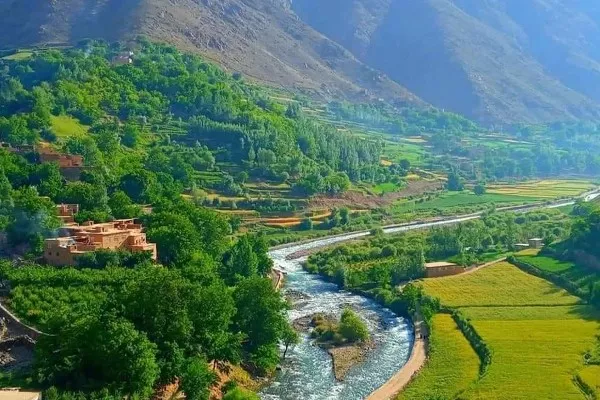 طالبان مردم پریان را از یلاق کوچاندند