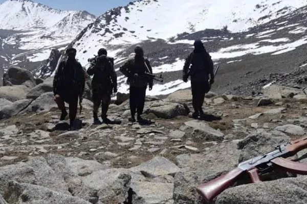 جبهه آزادی: ۲۱ عضو طالبان در درگیری‌های زیباک کشته شدند