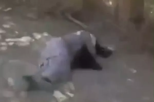 جبهه متحد از کشتن یک کارمند استخبارات طالبان در قندهار خبر داد