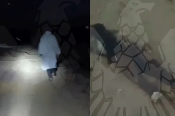 جبهه متحد افغانستان از کشتن دو عضو طالبان در کابل و سرپل خبر داد