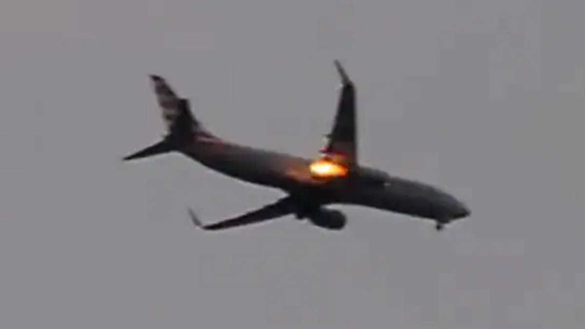 برخورد یک پرنده موتور هواپیما را از کار انداخت