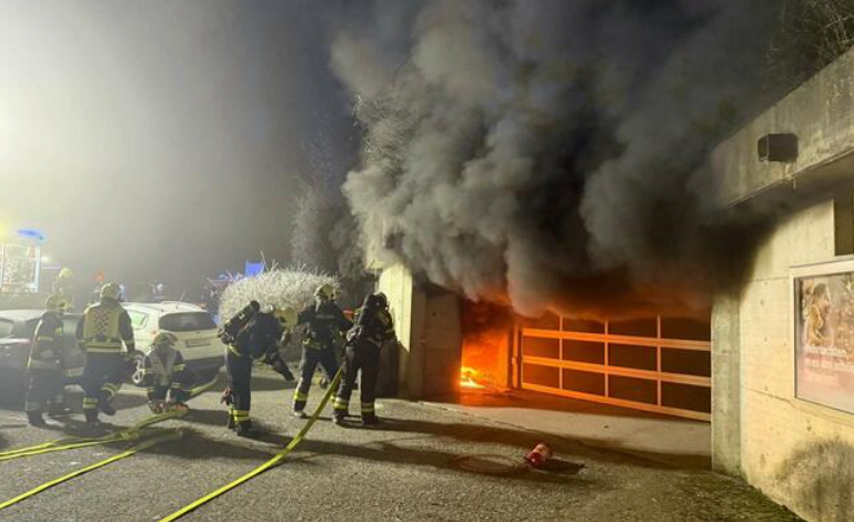 یک سگ با فشردن زنگ خطر آتش‌سوزی را مهار کرد