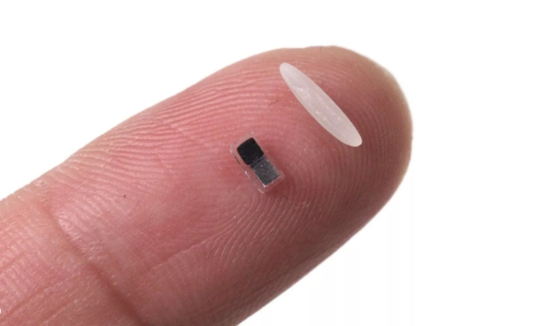 انقلاب در علم پزشکی؛ ساخت ضربان‌ساز قلب که از برنج کوچکتر است و در بدن حل می‌شود