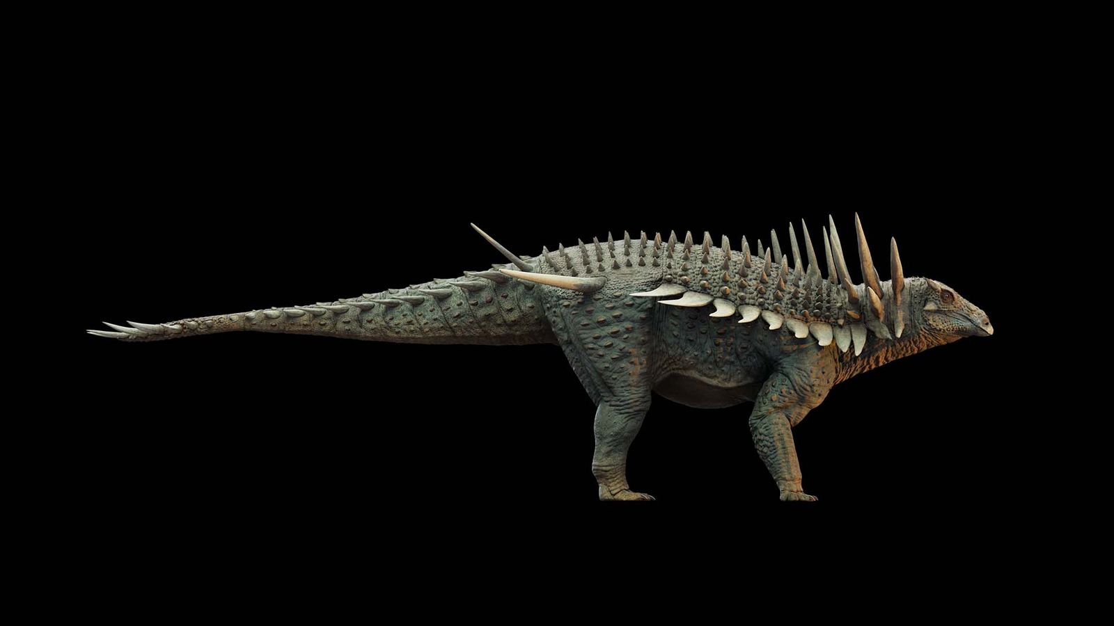 دانشمندان فسیل یک دایناسور زره‌دار را کشف کردند