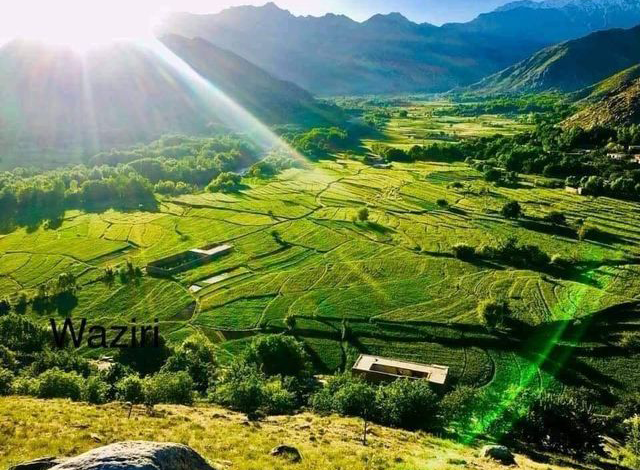 طالبان در کاپیسا می‌خواهند زمین‌های ۳۰۰ خانواده پشه‌ای را به پشتون‌ها توزیع کنند