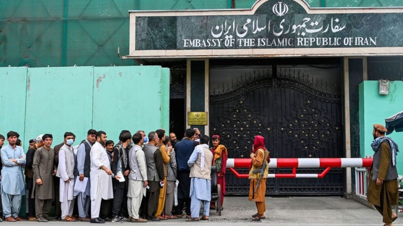 وزارت کار طالبان: در مورد ویزای کاری با ایران هیچ توافقی حاصل نشده، به شرکت‌های سیاحتی پول ندهید