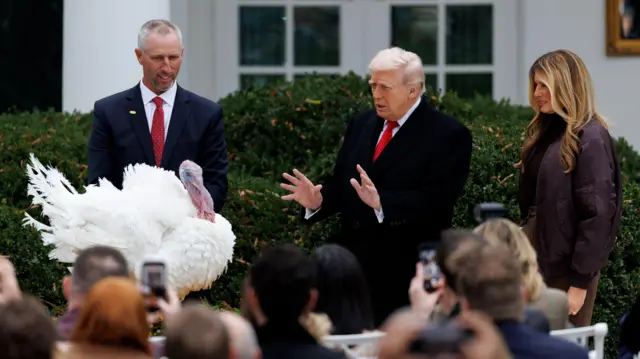 داستان مراسم «عفو بوقلمون» از سوی رییس جمهور امریکا چیست؟