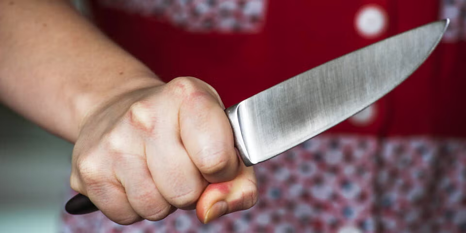 دو زن در اتریش پس از حمله با چاقو به دوست‌پسران شان دستگیر شدند