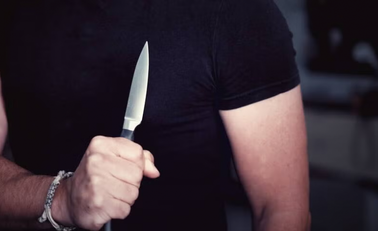 چاقوکشی پناهجوی ایرانی در اتریش؛ دو نفر به شمول یک افغانستانی زخمی شدند