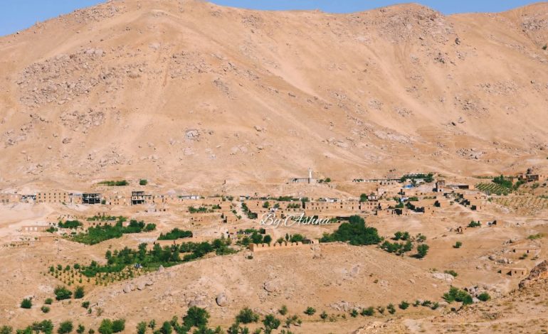 دو خواهر نوجوان در دایکندی از اثر ذغال‌گرفتگی در یک دواخانه جان باختند