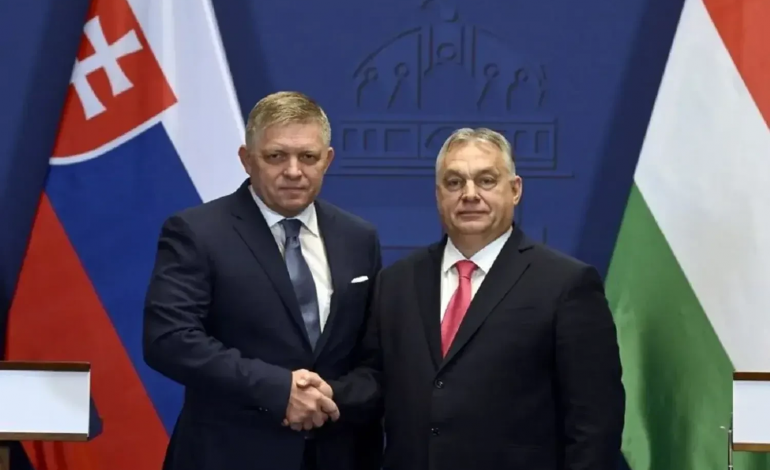 ممنوعیت واردات گاز روسیه؛ اسلواکی و مجارستان به دادگاه اتحادیه اروپا شکایت می‌کنند