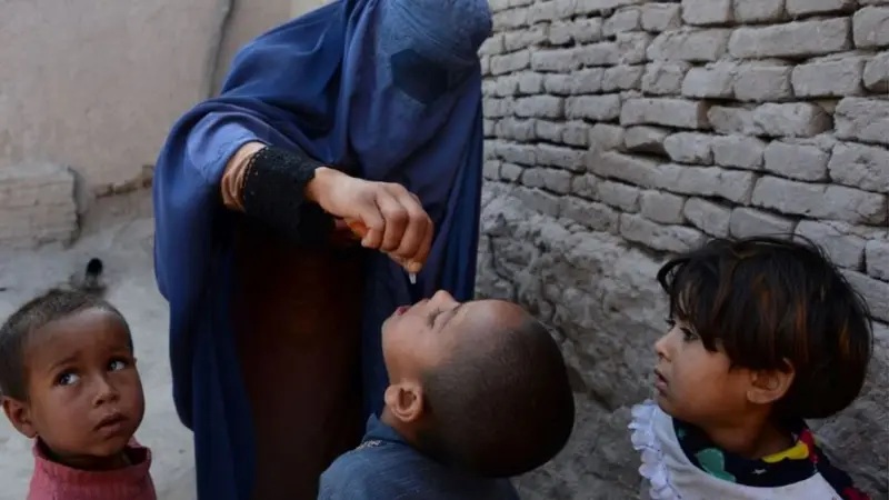 ۳۰ درصد کودکان در ارزگان هنوز واکسین نشده‌اند