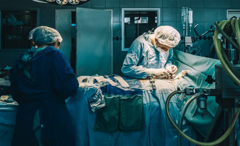 جراحان در اتریش رحم یک زن را اشتباهی برداشتند