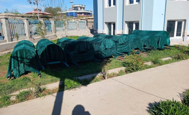 شب وحشت؛ خانواده‌ای در زمین‌لرزه نابود شد