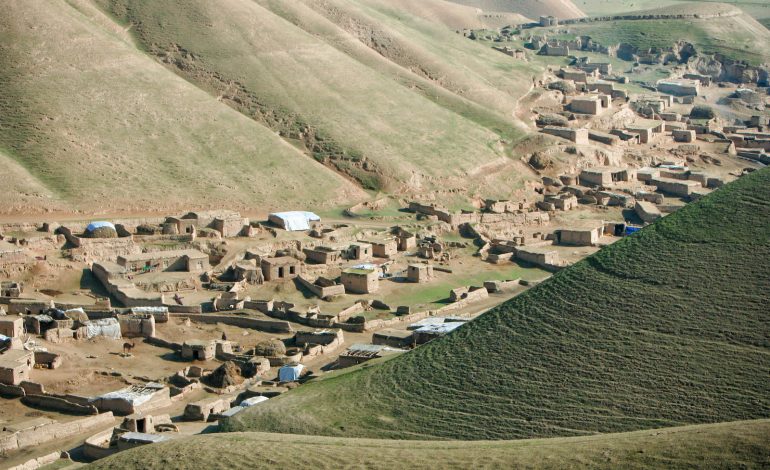 نزاع پدر و پسر؛ دختر جوان خانواده قربانی شد
